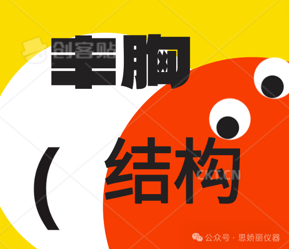 想丰胸，不了解胸部怎么行？