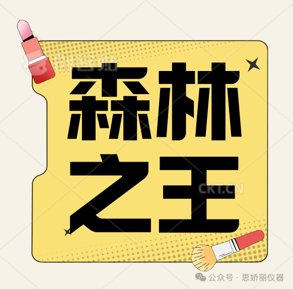 “森林奶油”是水果届丰胸之王？来听听如何说！
